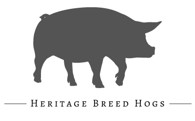 heritage breed hog icon