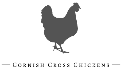 Cornish hen icon