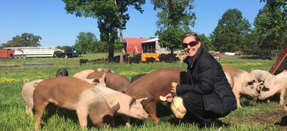 The pigs love when Angela shows up with treats!