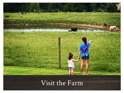 click here to visit the farm